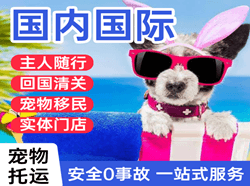 石家庄航空货运国际宠物托运 【国